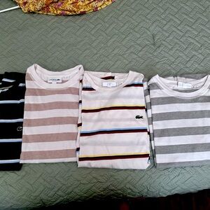 Large Lacoste tshirts